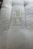 超柔软枕头枕芯家用一对整头单个女成人护颈椎助深度睡眠觉专用 驼绒蛋白护颈枕-绿【一对】中枕 实拍图