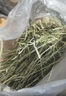 喜帅兔子提摩西草 精选烘干北提提草龙猫兔粮荷兰猪主粮磨牙零食500g 实拍图