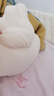 名创优品（MINISO）墩dun鸡系列毛绒公仔玩具卧室教室办公室睡觉抱枕生日礼物小号 实拍图