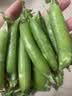 中鲜生 云南新鲜豌豆 甜豌豆新鲜蔬菜现摘豆角 净重3斤装【尝鲜装】鲜嫩饱满 实拍图