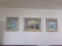 艺米客厅装饰画现代简约沙发背景墙画欧式餐厅挂画美式壁画 平安纳福（象牙白框） 55X70*2-70X90cm|适用3~4座沙发 实拍图