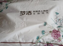 梦洁家纺 纯棉面料 新疆棉阳光原棉舒柔枕成人枕头枕芯 48*70cm高约8-10cm 实拍图