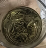 张一元茉莉花茶叶毛尖浓香型新春茶伴手礼物口粮茉莉绿茶特种200g礼盒装 实拍图