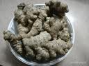 【东东买菜】新鲜贵州生姜子小黄姜水洗净姜月子老黄姜蔬菜调料 3斤装净重1500g 实拍图