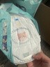 帮宝适散热王者一级帮拉拉裤新生儿婴儿尿不湿尿片超薄透气L+31 实拍图
