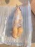 呆果丁荷花种藕苗盆栽观赏四季好养花卉水生植物藕种根碗莲睡莲水养莲花 精品荷花苗3棵装【混搭盲盒】送肥 晒单实拍图
