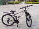 凤凰（Phoenix）山地自行车成人学生儿童碟刹越野变速单车 ZB888 26英寸24速灰色 实拍图