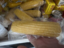十月稻田 黄甜糯玉米 8根 3.52斤 真空包装 东北粘玉米棒 低脂早餐 实拍图