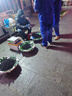 海澜之家（HLA）天然荞麦枕全棉枕头芯家用一对 透气安睡枕高度可调颈椎枕 灰色 实拍图