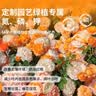 植物营养液通用型家用盆栽发财树富贵竹绿萝水培花卉绿植蔬菜肥料 通用营养液500ml×3瓶＋喷壶 实拍图
