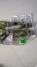 年宵花春节蝴蝶兰盆栽绿植花卉年货装饰过年四季开花大苗好养易活 白美人---【包开花】送营养液2包 带2支花剑 实拍图
