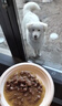 宝路进口幼犬主食软包罐头 狗粮主食妙鲜包85g*12牛肉味 实拍图
