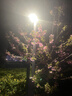 南极人（Nanjiren） 床上四件套+被子被芯+枕芯磨毛床单被套单双人宿舍被罩家用套件  梦-时尚灰 2米床四件套【被套2*2.3米】 实拍图