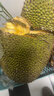 京鲜生 海南菠萝蜜 18-22斤 净重18斤 生鲜水果 源头直发 实拍图
