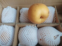 山姆大叔 山东晚秋梨【闪送】冰糖梨子年货礼盒水果礼盒装 【精品果】单果250-350g｜超甜 5斤装【超值推荐-80%选择】净4.5 实拍图