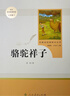 骆驼祥子+海底两万里 人教版 语文名著精选套装 七年级下 实拍图