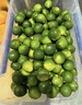 京鲜生 海南小青柠 净重1斤  生鲜水果 实拍图