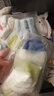 尼多熊儿童袜子夏季棉短筒袜宝宝袜夏季薄款男童短袜网眼透气船袜 5-7岁 实拍图