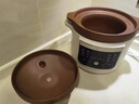 小熊（Bear）电炖锅 电炖盅电砂锅 煲汤锅炖汤锅紫砂锅 燕窝炖盅 煮粥婴儿辅食锅电煮锅 3L DDG-K30H1 实拍图