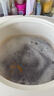 小熊（Bear）衣物清洗机 迷你折叠洗衣机全自动懒人内衣小型内裤洗衣机波轮除菌宿舍婴儿清洗机便携洗袜子机 增强脱水款丨臭氧蓝光除菌-8.5L自脱水B08E6 实拍图