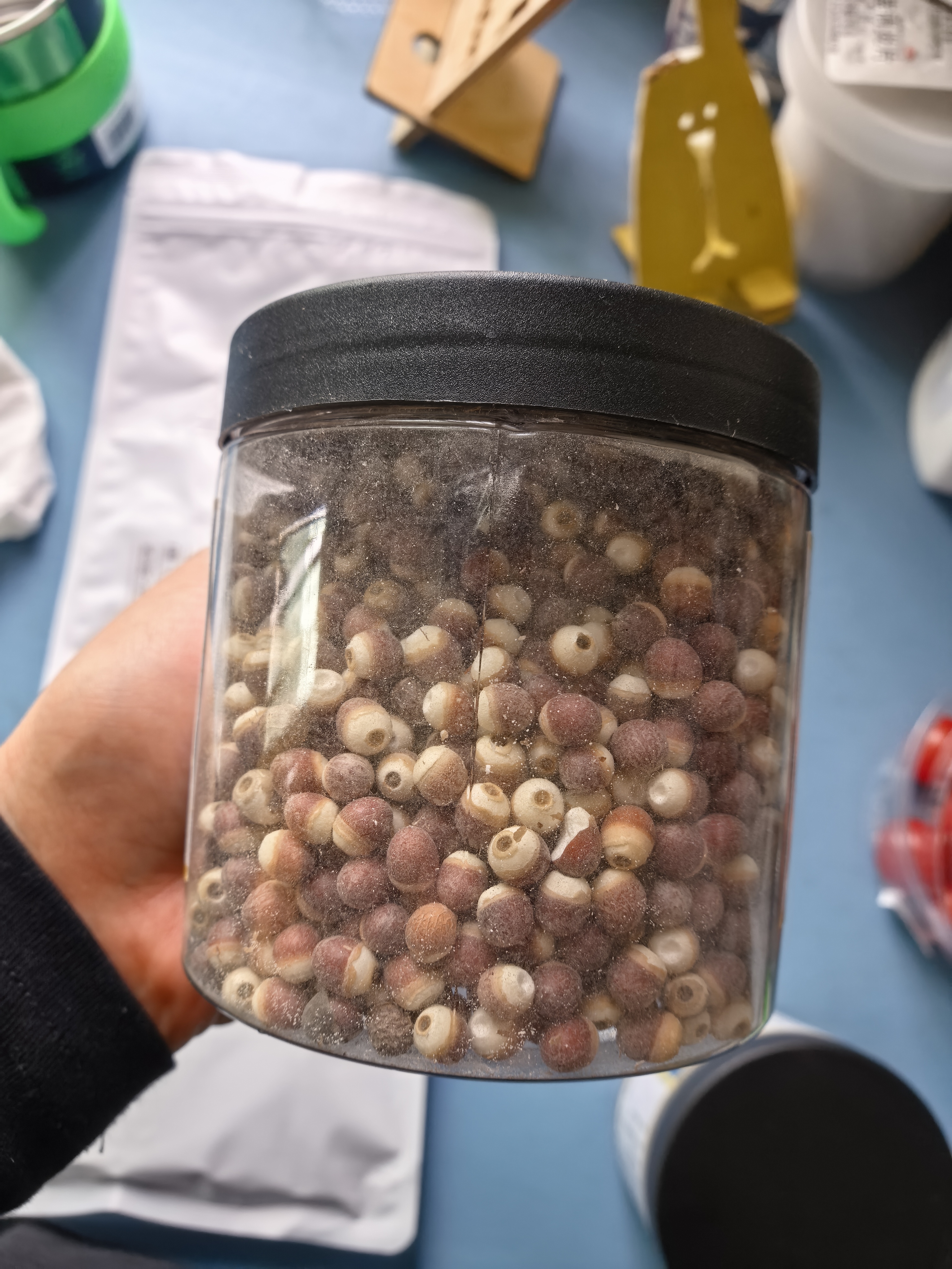 聚和泰新货肇庆芡实无臭欠实鸡头米去皮茨实半开芡实茯苓薏米中药材 芡实250g 实拍图