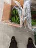京喜加广西小米蕉新鲜水果现摘青皮发货邦达特产生鲜馆 小米蕉统货 9斤装（带箱） 实拍图