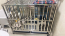 金百特 【不锈钢狗笼子】 金毛狗笼子中大型犬狗笼子宠物狗狗笼子狗屋高档狗别墅 长110*宽72*高95cm（激光满焊） 实拍图