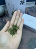 七春安吉珍稀白茶 2025明前绿茶 浙江茗茶 罐装茶叶自己喝125g 实拍图