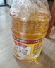 鲁花 食用油  物理压榨  非转基因 玉米油6.18L   实拍图