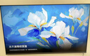 海信电视大薄荷E52Q 65吋超薄贴墙 无倒影低反屏 前置回音壁 U+MiniLED 国家补贴 壁纸世界杯定制电视 实拍图