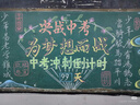 寿禾 黑糯玉米种子苗非转基因蔬菜种籽 屯玉糯9103玉米种子25g约90粒 实拍图