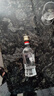董酒【官方直营】白标 董香型白酒 入门董香品鉴 54度 125mL 1瓶 实拍图