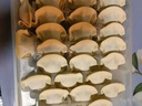 湾仔码头大白菜猪肉水饺720g36只早餐食品速食半成品速冻饺子 实拍图