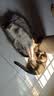 比瑞吉猫粮成猫全期全价天然美毛护肤体质健康猫粮 【成猫粮 含三文鱼螺旋藻】1.5KG 实拍图