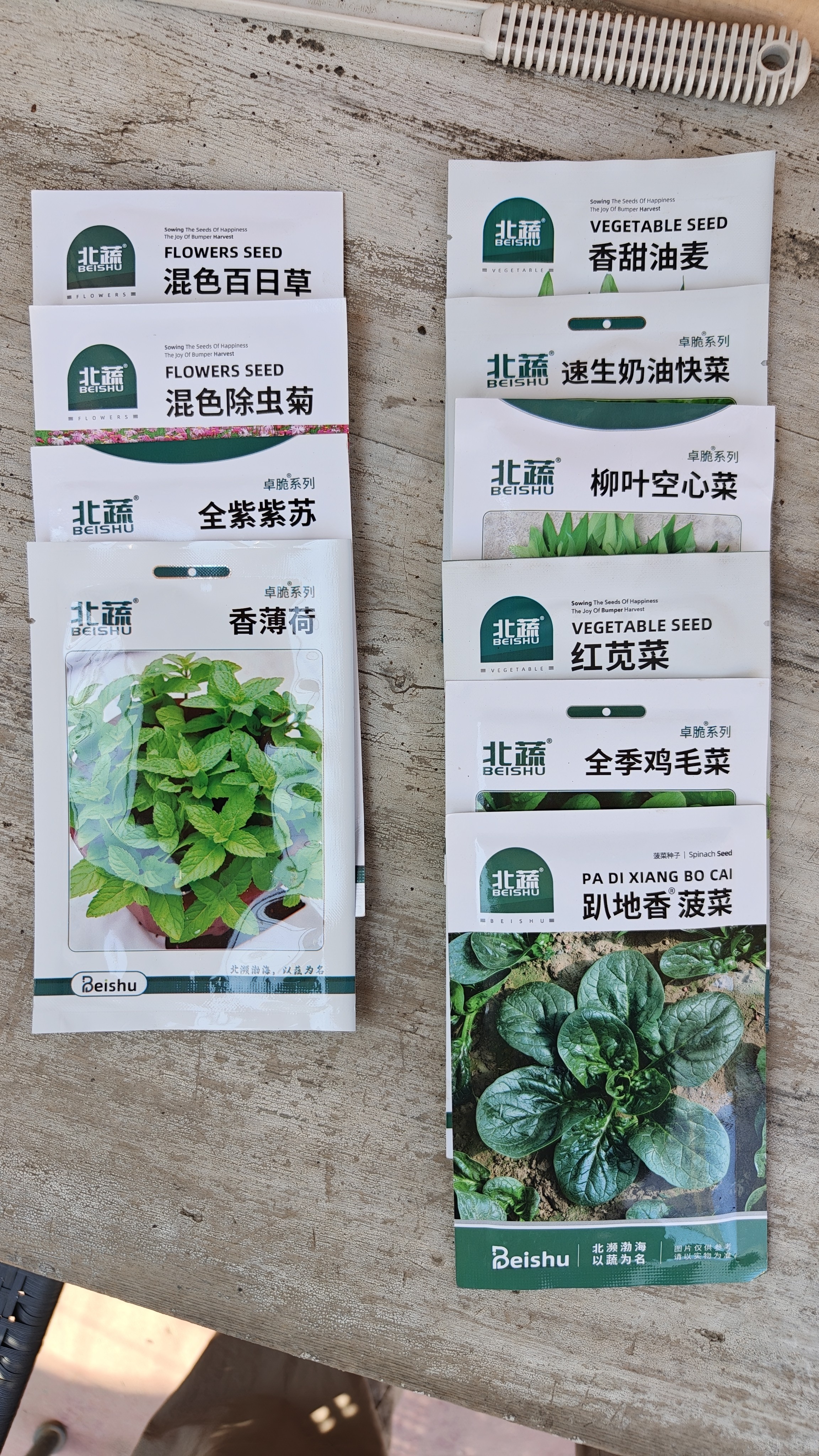 北蔬百日草花种子苗百日菊混色重瓣四季花籽 混色百日草种子约1000粒 实拍图
