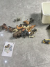 知识花园动物模型玩具儿童3-6岁动物园男女孩六一儿童节礼物 46件套 实拍图