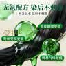 纯春堂云南本草染发剂植物盖白头发纯黑天然无刺激不沾头皮男女士染发膏 实拍图