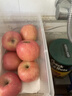 京鲜生 烟台红富士苹果 8粒装 单果160-190g 生鲜水果 实拍图