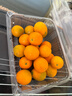 京鲜生  广西第三代脆蜜金柑净重4斤装（每斤20-27粒）源头直发包邮 实拍图
