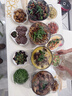 Jidaocook硅胶铲锅铲不粘锅专用炒菜铲子汤勺漏铲家用食品级耐高 煎铲【/耐高温/无异味】 实拍图