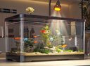 独宠你鱼缸小型客厅生态造景过滤制氧一体缸桌面金鱼缸水族箱中号白色 实拍图