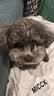 Virbac维克耳漂猫咪洗耳液宠物狗狗耳朵清洁耳水预防耳螨耳臭滴耳液 维克耳漂洗耳液 125ml*1瓶 实拍图