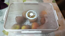 佳帮手冰箱收纳盒保鲜盒食品级密封大容量水果蔬菜鸡蛋泡菜盒7.5L2只装 实拍图