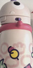 babycare儿童保温杯婴儿宝宝吸管水杯霸王龙不锈钢保温杯300ml-新旧款混发 实拍图