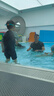 佑游泳衣男士防尴尬宽松双层泳裤防晒温泉泳衣五件套13553橘色小熊3XL 实拍图