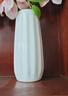 极度空间 陶瓷花瓶客厅桌面工艺品花瓶摆件茶几装饰摆件插花器 实拍图