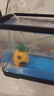 阔庭（KUOTING）鱼缸水族箱生态桌面鱼缸新款懒人鱼缸过滤制氧一体机黑色【大号】 实拍图