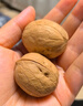 绿岭薄皮火猴手剥薄皮原味生核桃   坚果礼盒休闲零食 500g原果*2箱 实拍图