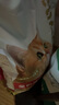 佩玛思特升级款深海鱼三种鱼成猫猫粮呵护肠道10kg 实拍图
