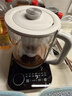 小熊（Bear）纯钛养生壶 煮茶壶煮茶器 炖煮一体烧水壶电热水壶 24H恒温 0胶水加大滤网 1.5L YSH-E15Z2 实拍图